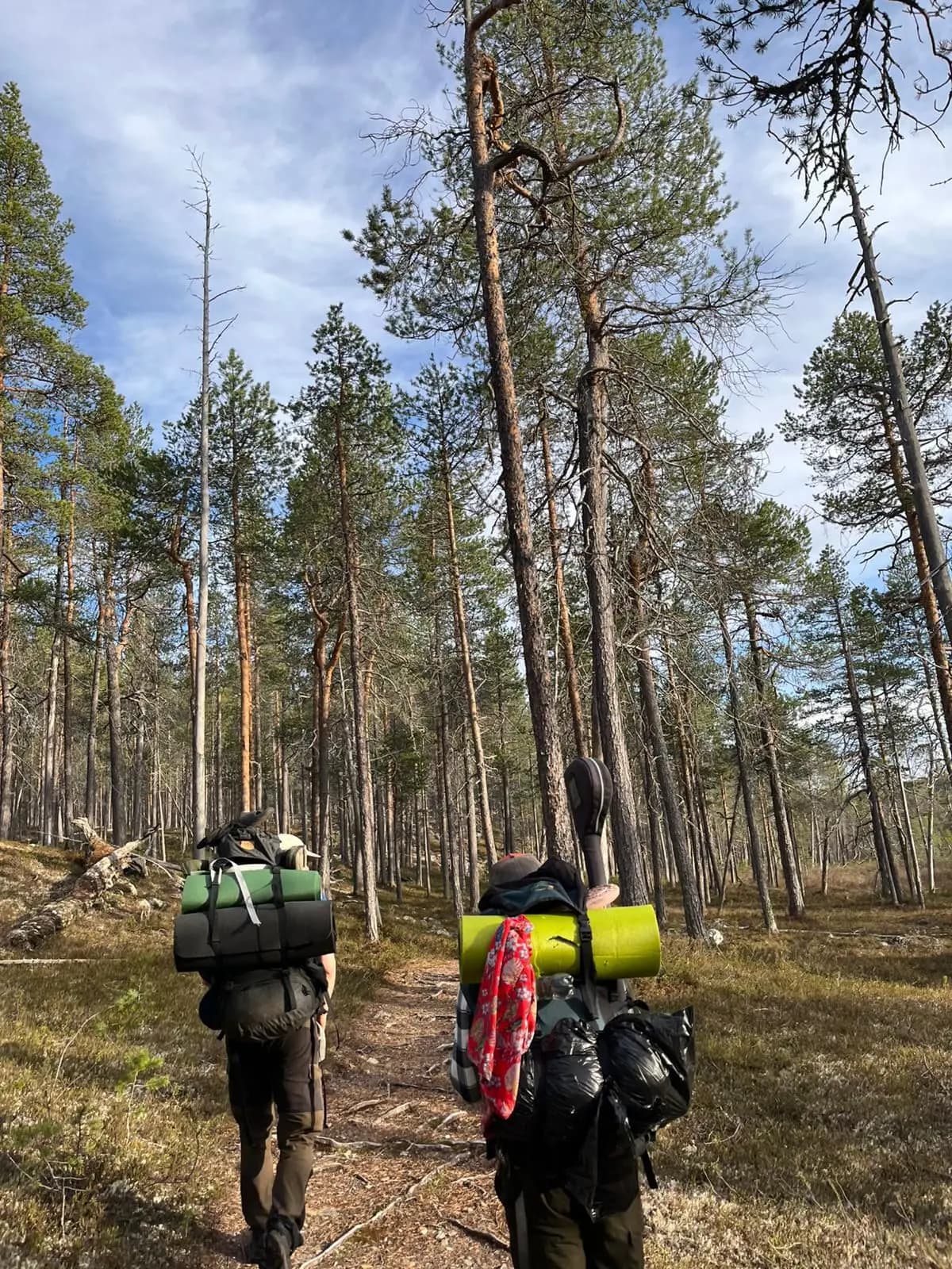 Guests walking on forest trail