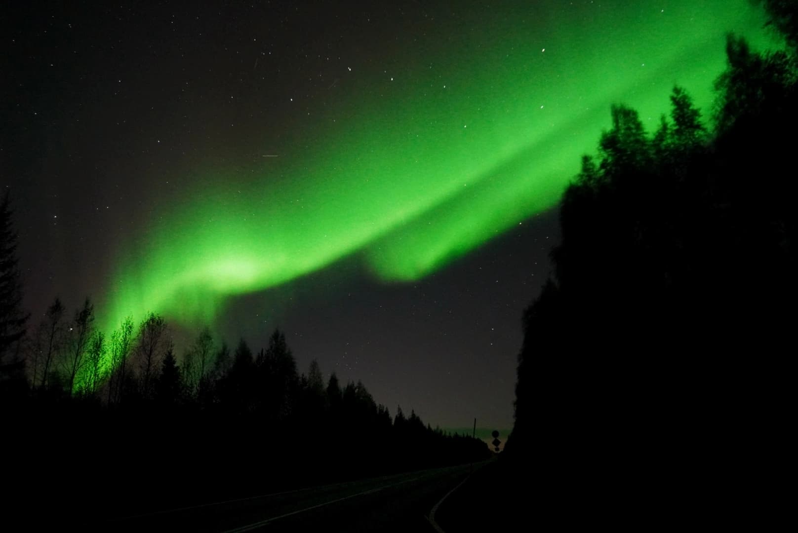 Northern lights in the sky