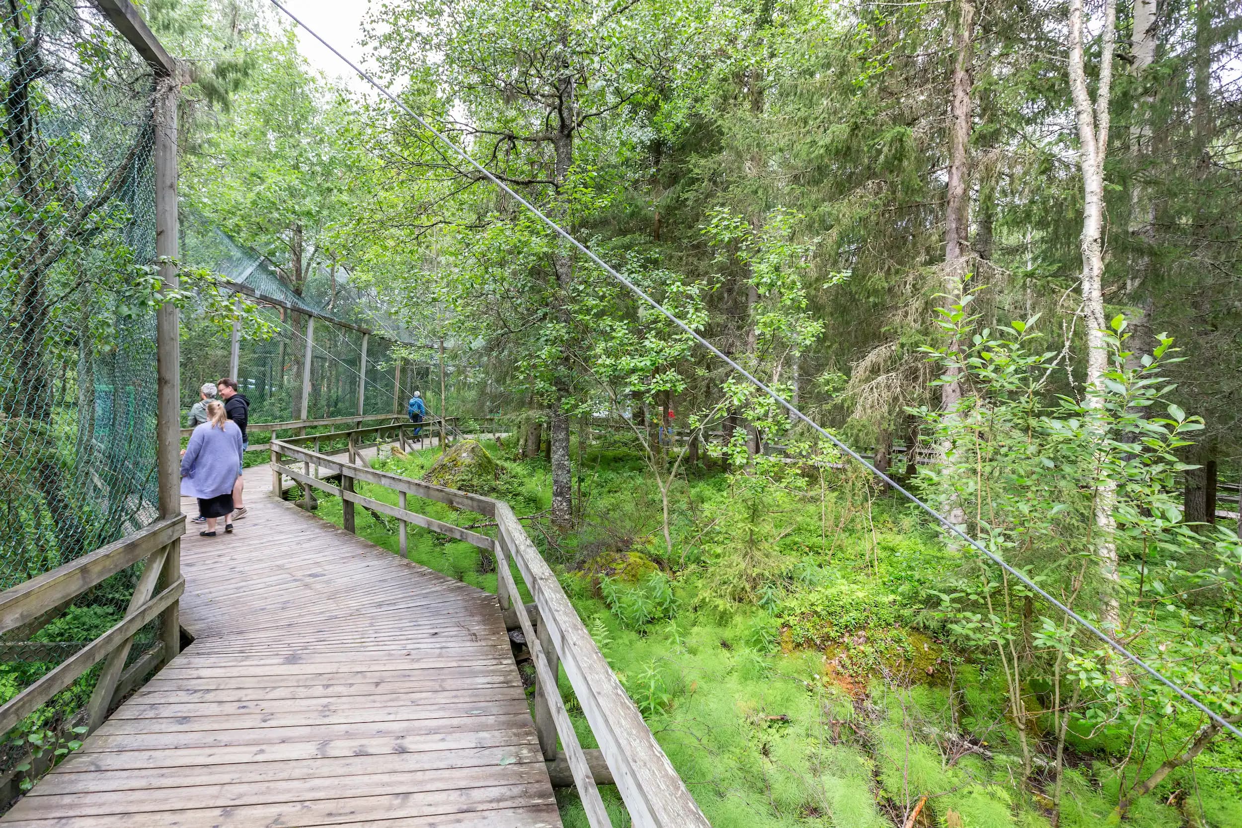 Ranua Wildlife Park in summer