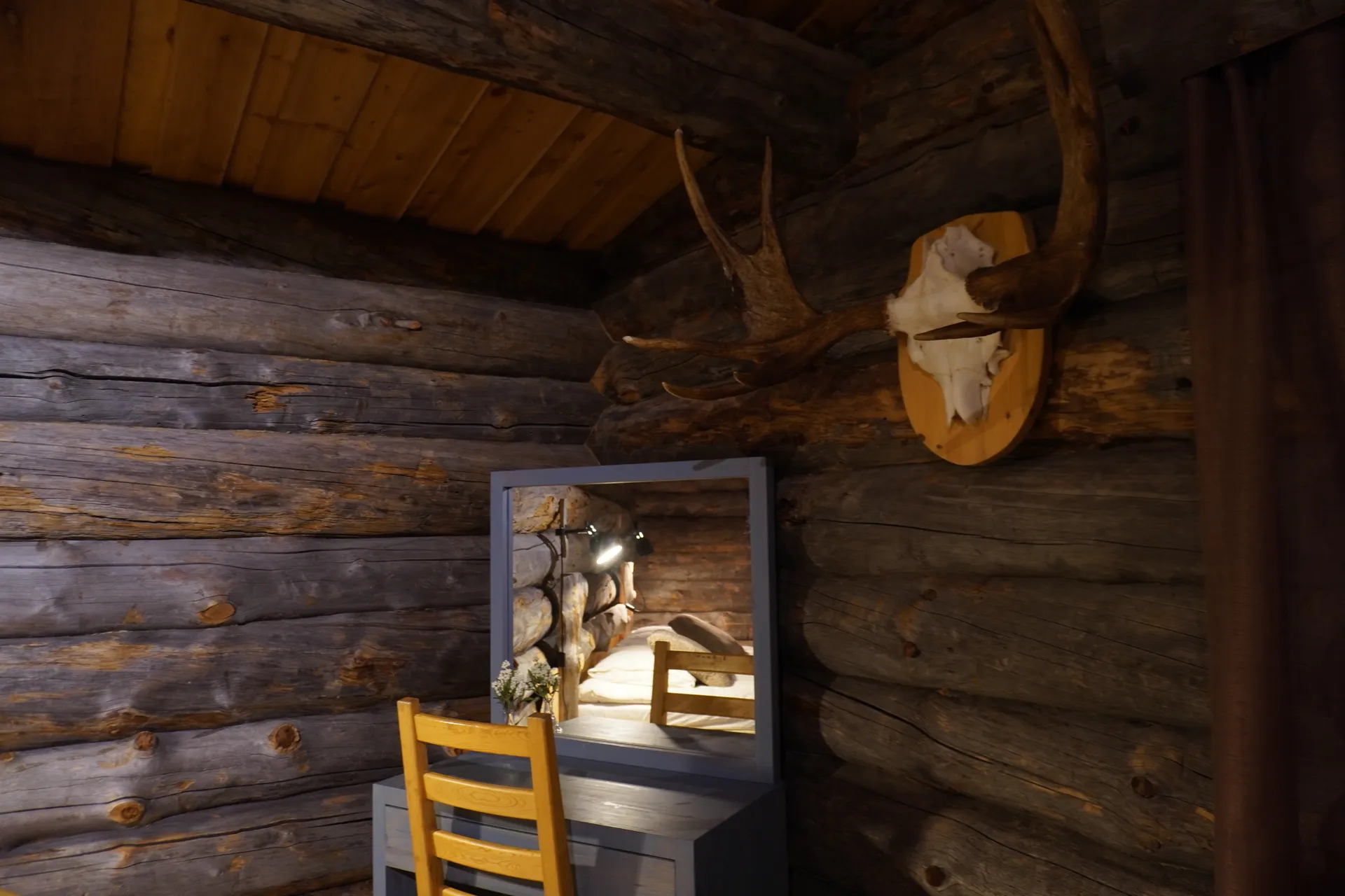 Moose head wall decoration