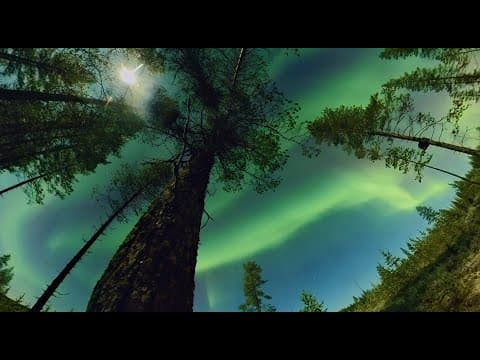 Northern lights above Rovaniemi sky