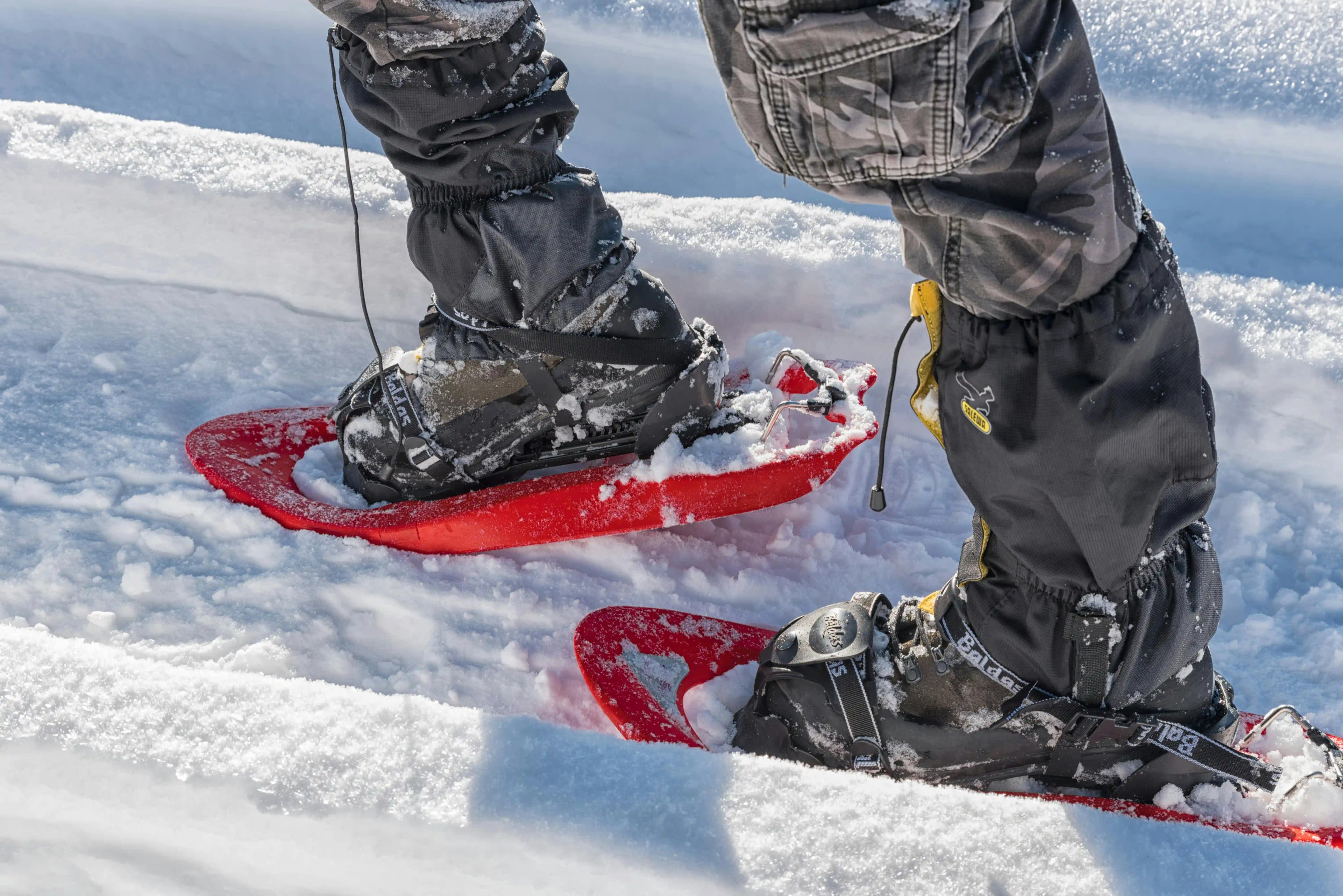 Snowshoeing Adventure - Private Experience in Lapland